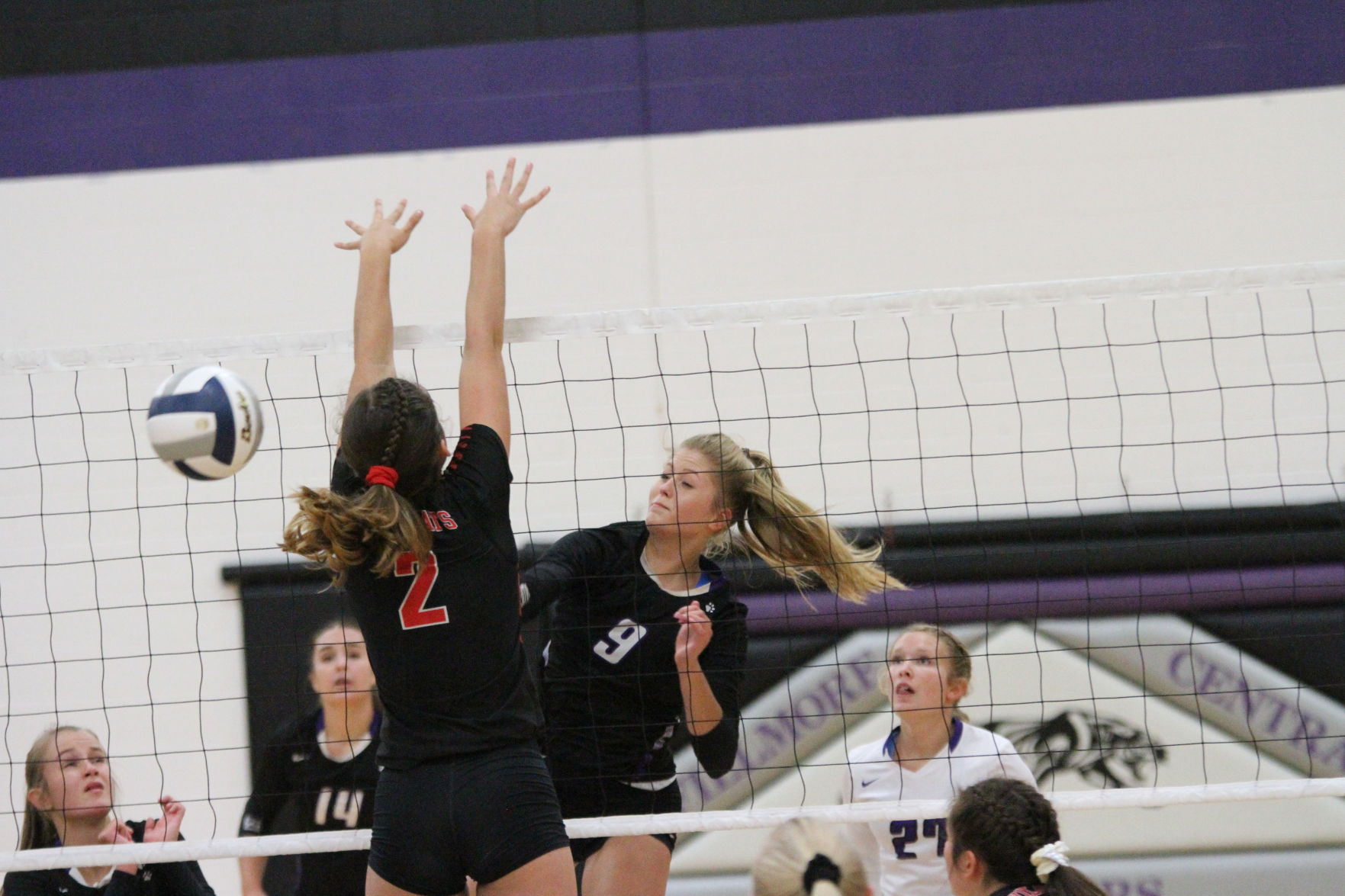 Volleyball (99).JPG